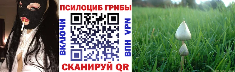 Галлюциногенные грибы GOLDEN TEACHER нарко площадка состав Аксай