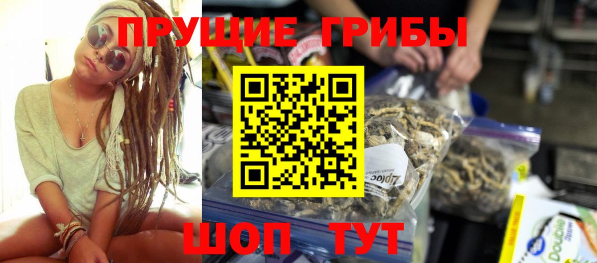Галлюциногенные грибы Psilocybe Аксай