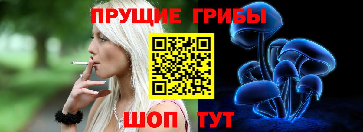 цена наркотик  Псилоцибиновые грибы GOLDEN TEACHER  Вход с VPN  Аксай 